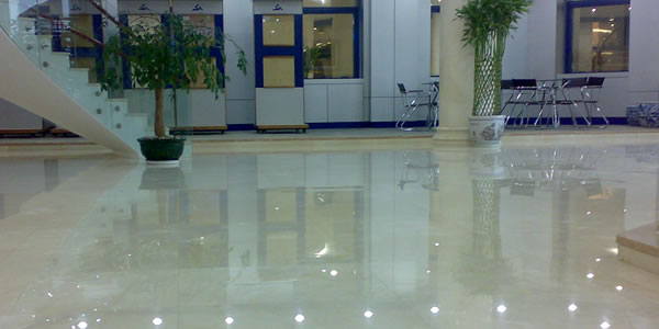 Crema Angola Office Interior